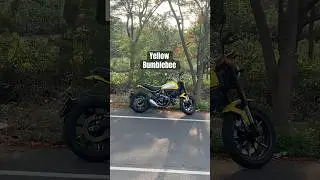 Yellow bumblebee | Ducati Scrambler | 2025 #ducati #scrambler #bumblebee