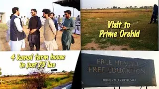 Visit to Prime Orchid | 4 kanal farm house sirf 75 lac | #sitevisit #land #property  #farmhouse