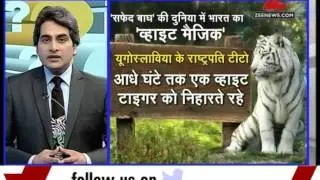 DNA : World's first' White Tiger' sanctuary opens in Madhya Pradesh
