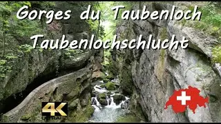 Gorges du Taubenloch 🇨🇭 Taubenlochschlucht / Biel Bienne / 4K