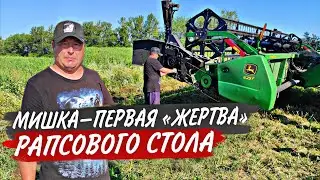 С озимым рапсом ВСЁ. А Лёхин лафет не выдержал или как впятером жатку на T-шку вешали...