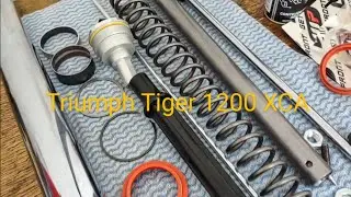 Tiger 1200 XCA 2018 melhor retentor de bengala e caixa de direção