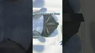 CBT