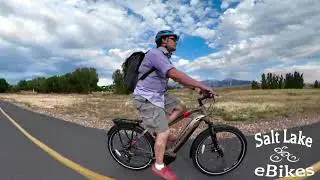 Haibike SDURO TREKKING 4.0 in Salt Lake