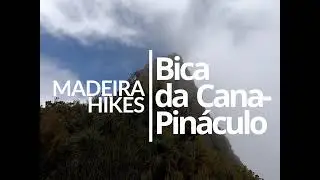 Madeira hikes: Bica da Cana - Pinaculo