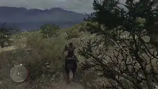 RDR: Survivalist Challenge 10 (Part C - Red Sage)