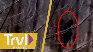 A Lurking Bigfoot VANISHES Behinds A Tree |  Paranormal Caught on Camera | Travel Channel