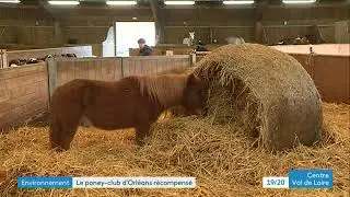 Le poney-club d'Orléans récompensé pour son éco-responsabilité