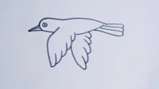 How to draw a Crow//flying crow easy and simple drawing step by step//flying bird drawing