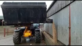 Beet chopper Grass technology beet master 1000