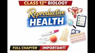 Class 12 Biology: Reproductive Health &ndash; Easy Concepts & Clear Explanation