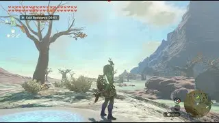There's a Reason People Linger Here | Zelda Live