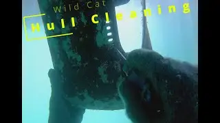 Wild Cat Hull Cleaning