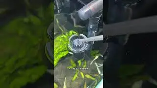 就给你的安彩过滤器装上它，立马变成天花板中的天花板，就是这个升级版的安彩壁挂过滤器除油膜管件！#养鱼日记