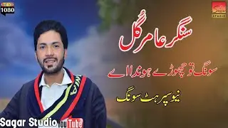 Singer Aamir Riaz Gull Song Tu Chorya