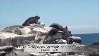 Am&eacute;rica Latina y el Caribe, la regi&oacute;n con m&aacute;s biodiversidad del mundo