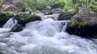 Relaxing Piano Music, Sleep Music, Nature Sounds, Meditation Music, Spa Music, Peaceful Music