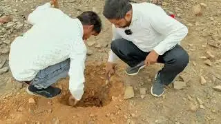 Gold Treasure Hunting with Nokta  Simplex Plus And Minelab Vanquish 540 Best Gold detector machine