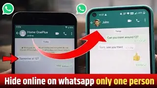 how to hide online on whatsapp only one person