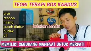 TEORI TERAPI BOX KARDUS‼️BANYAK MANFAAT UNTUK MERPATI ,SUSAH RESPON,EROR,BIAR BONDING BAGUS DLL
