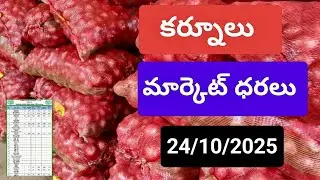 24/10/2025కర్నూలు మార్కెట్ ధరలు today kurnool market prices rates onion kandhi mokka mirchi redgram