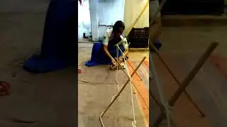 Monkey Bridge Model.