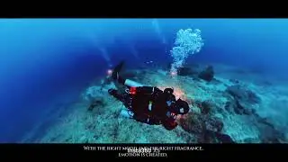 @takedive SNSI KOREA TEAM TEC FUN DIVE
