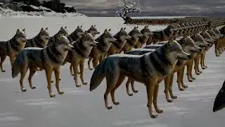 Wolf Population by Country 2024 | 4K