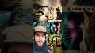 Cats & Snakes 🤔