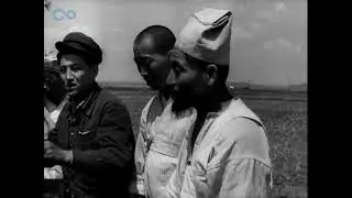 1953-07-15-POKOJOWA PRACA KOREI