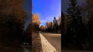Chevrolet Camaro V6 3.6 340 л.с. @_darksoul_789  #blackpixel #camaro #shorts