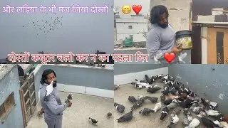 दोस्तों आज से पहला दिन चलो कर ना का ❤️🕊️❤️#trending #viralvideo #youtube #kabutarandekabdetehain 