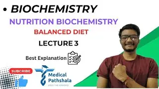Balanced Diet | ICMR pyramid  | Nitrogen Balance | Biochemistry | MBBS