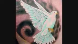Dove Tattoos Designs