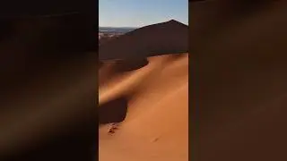 The Gold of the Sahara #Algeria 🇩🇿