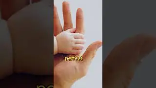Human Finger prints Mentioned in the Quran
