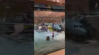 #рек #shortvideo #челленджы #top #travel #pakistan #fun #bubbletea