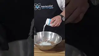 Tierra de chocolate. Cocina molecular con el chef Ren&eacute;