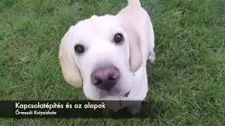 Őrmezői Kutyaiskola