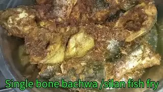 Crispy Masala Fish Fry # Single Bone Silan/Bachwa/Pangas Fish Fry Ki Recipe # Swaadeshahana