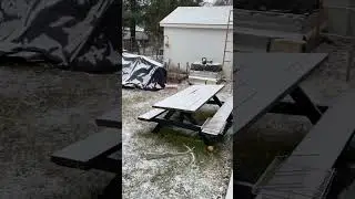 Protecting Lettuce Seedlings in Winter Gardening