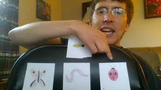 Bug Alliteration Game