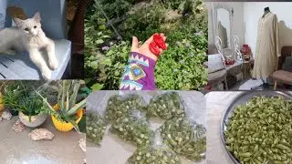 عشرة محرم أول مرة تفريز البانيه  طريقة مختلفه
