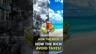 The Dutch Tax Paradise: Sneaky or Smart? 💶