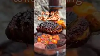 Eating Off the Land: Wild Food Adventure in the USA!