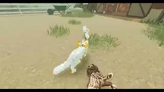 Hanging with @GoldenPelt-p7h and them