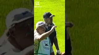 Tiger&rsquo;s Caddie (Fluff) Checking the Wind 🚬 😂 #golf #classic #tigerwoods #caddy #funny #shorts