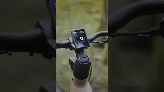 Moustache XROAD 2026