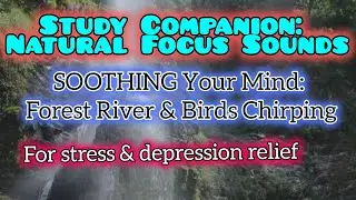 Nature's Reset Button. For #deepsleep & #study   . For Intense Focus. For Instant #relaxation 