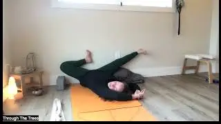 Yin Yoga Wall Sequence
